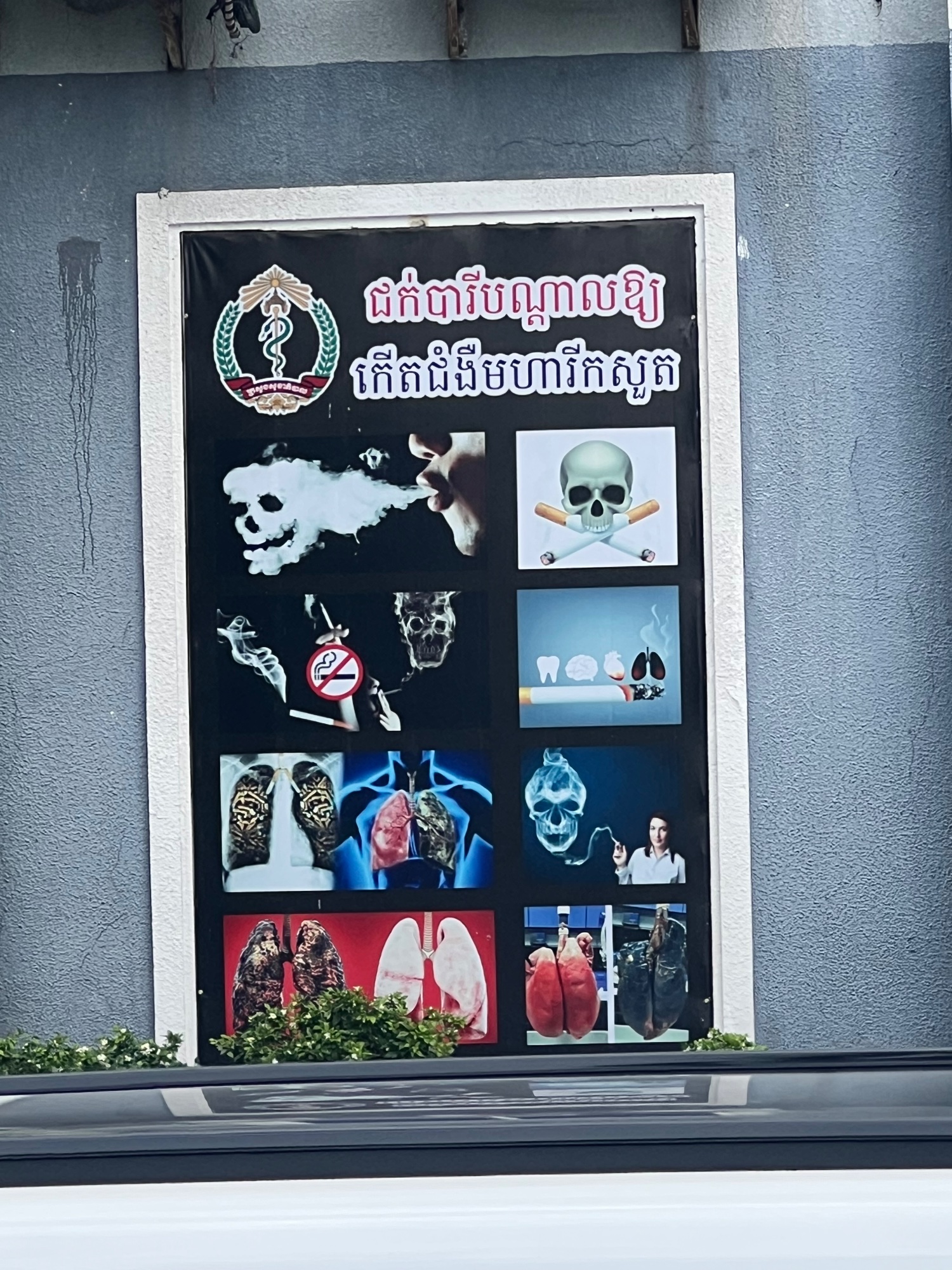 Phnom Penh Pictures